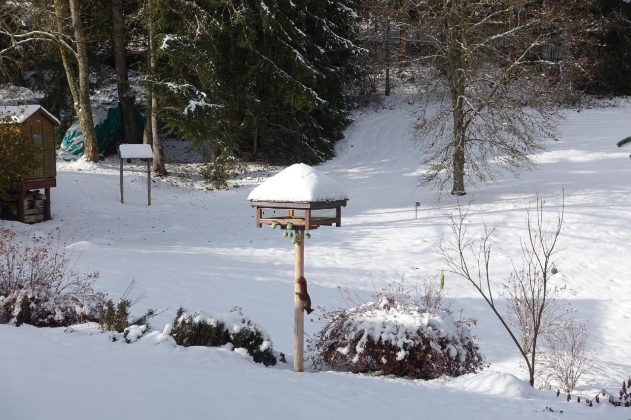 Chalet 1 Chambre